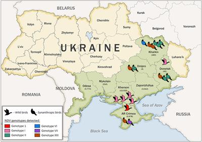 Genetic diversity of Newcastle disease viruses circulating in wild and synanthropic birds in Ukraine between 2006 and 2015